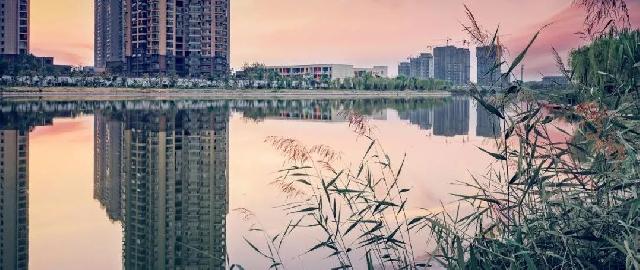 绿城·桂语江南 湖畔墅区洋房丨带你探寻景区里的诗情画意