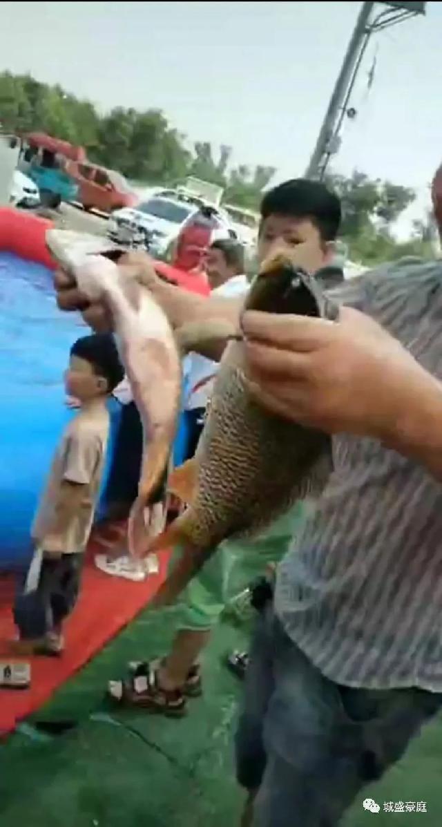 城盛豪庭丨浓情端午 “鱼”你同行