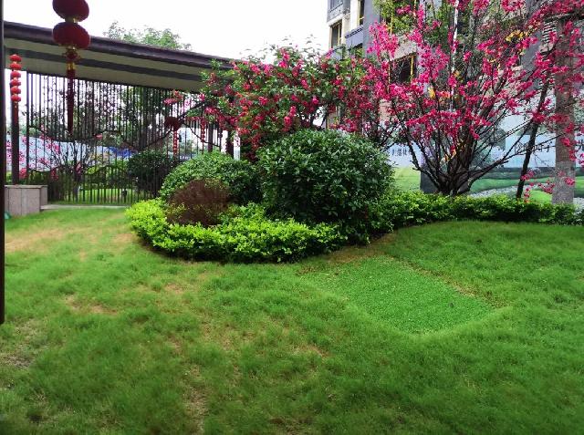 暴雨后，成武在看“海”，珑璟湾地面抬高设计，高瞻拒“水”！