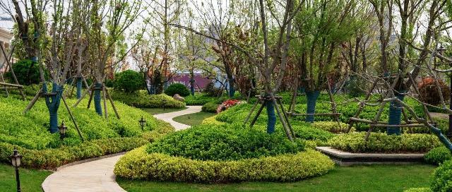 菏泽恒大御峰|臻美恒大园林，目之所及皆是风景