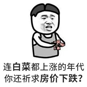 请给我一个房价会跌的理由？水泥涨价10%-15%，木材涨15%-30%...唯独到手的钱少了，此时不买房，更待何时？