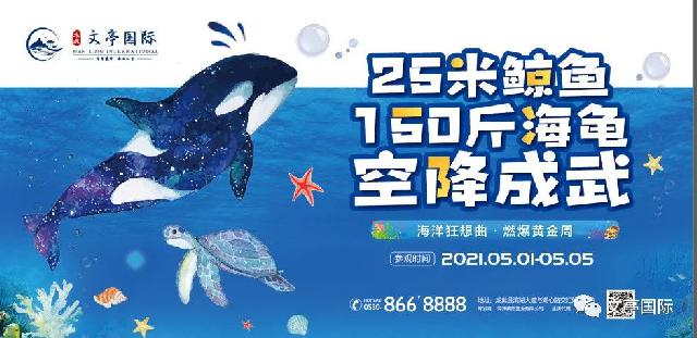 火了！火了！火了！25米长鲸鱼 150斤海龟空降成武!