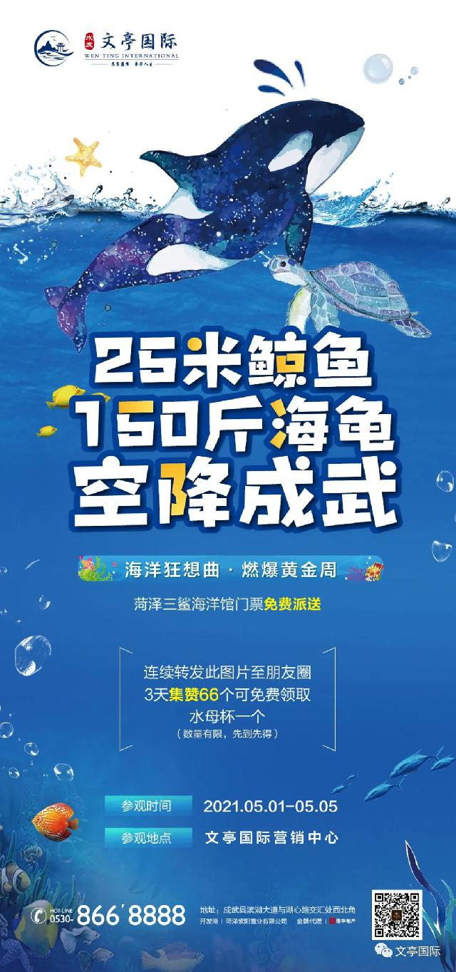 火了！火了！火了！25米长鲸鱼 150斤海龟空降成武!