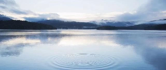 绿城 · 桂语江南 | 静谧中的诗意，一城湖居方能领会