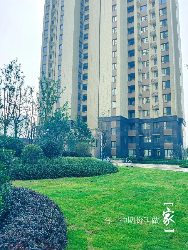 幸福无须等待！|中璟·珑璟湾 实景现房胜过一切言语！