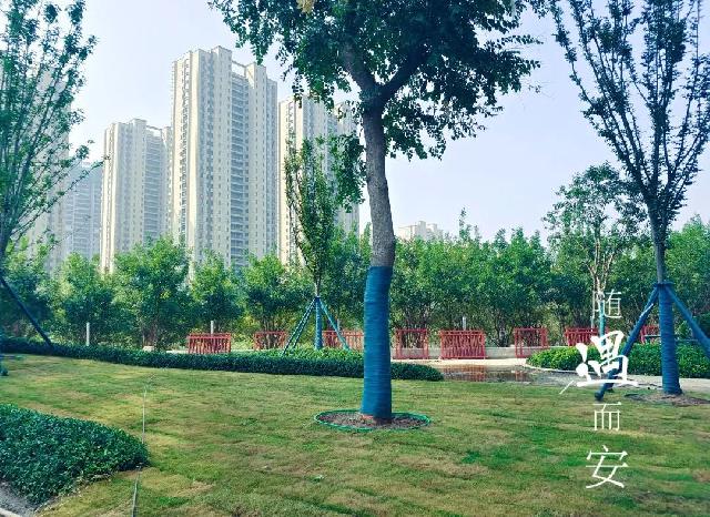 幸福无须等待！|中璟·珑璟湾 实景现房胜过一切言语！