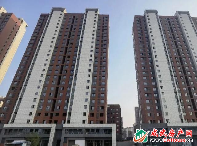 水发·阳光绿城4月2日工程播报