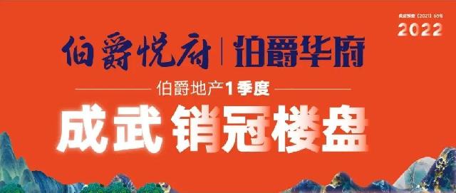 成武销冠楼盘