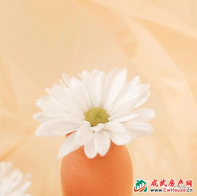 悦赏匠心 共鉴家境 | 文亭国际五月洋房工程进度播报