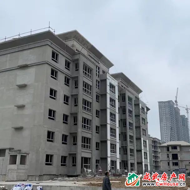 悦赏匠心 共鉴家境 | 文亭国际五月洋房工程进度播报