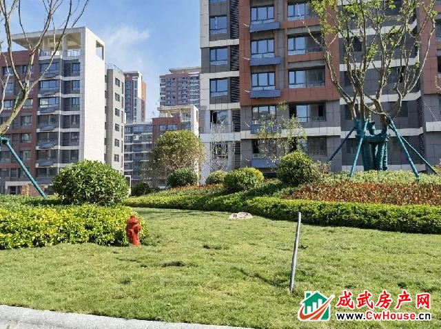水发·阳光绿城项目6月景观施工工程播报 水发·阳光绿城项目6月景观施工工程播报