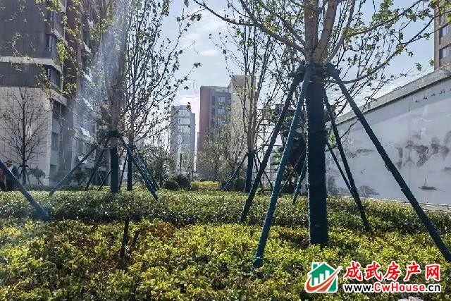 水发·阳光绿城项目6月景观施工工程播报 水发·阳光绿城项目6月景观施工工程播报