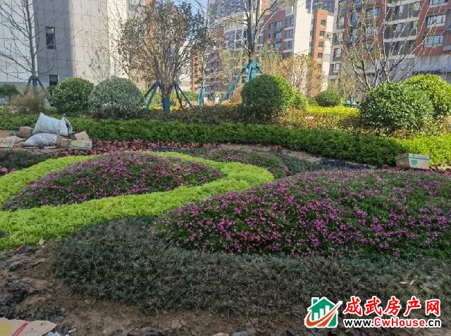 水发·阳光绿城项目6月景观施工工程播报 水发·阳光绿城项目6月景观施工工程播报