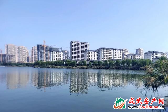 绿城·成武桂语江南丨人生总要有套湖居洋房 绿城·成武桂语江南丨人生总要有套湖居洋房