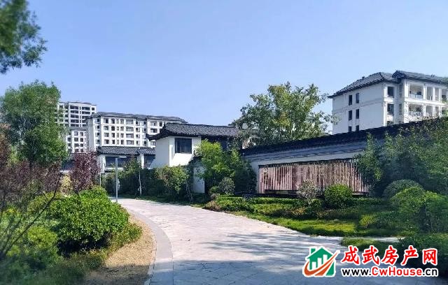 绿城·成武桂语江南丨阳光且长,风景悠扬 绿城·成武桂语江南丨阳光且长,风景悠扬