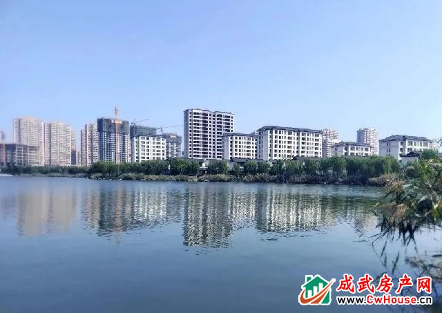 绿城·成武桂语江南丨阳光且长，风景悠扬