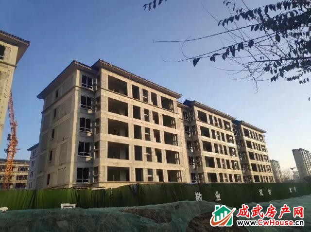 绿城·成武桂语江南丨12月三期工程进度播报 绿城·成武桂语江南丨12月三期工程进度播报