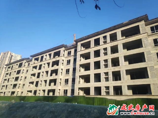 绿城·成武桂语江南丨12月三期工程进度播报 绿城·成武桂语江南丨12月三期工程进度播报