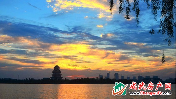 绿城·桂语江南 | 隐于喧嚣的自然疗愈，低密森居范本