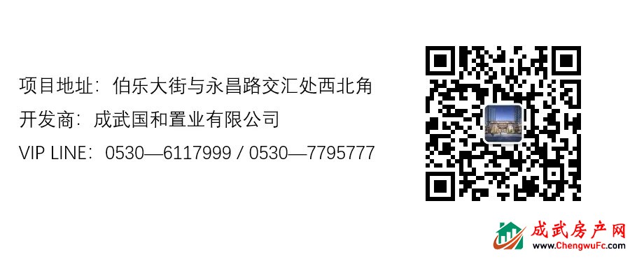 在成武，住进洋房是种什么体验？凤凰·国宸府给出了答案